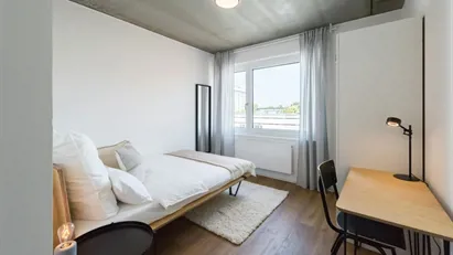 Room for rent in Frankfurt Bornheim/Ostend, Frankfurt (region)