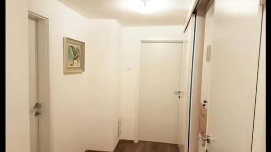 Houses in Besnica - photo 4