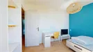 Room for rent, Montpellier, Occitanie, Avenue de Maurin, France