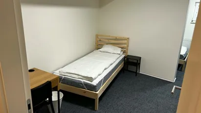 Room for rent in Besnica, Osrednjeslovenska