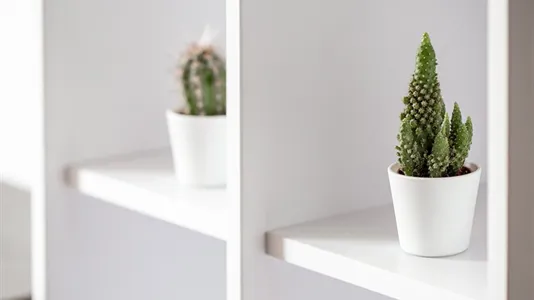 Apartments in Wrocław - photo 8