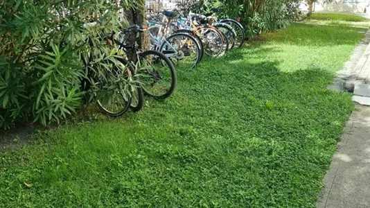 Rooms in Pisa - photo 5