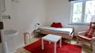 Room for rent, Brussels Etterbeek, Brussels, Rue de Haerne, Belgium