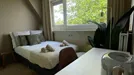 Room for rent, Schiedam, South Holland, &lt;span class=&quot;blurred street&quot; onclick=&quot;ProcessAdRequest(10914671)&quot;&gt;&lt;span class=&quot;hint&quot;&gt;See streetname&lt;/span&gt;[xxxxxxxxxxxxx]&lt;/span&gt;