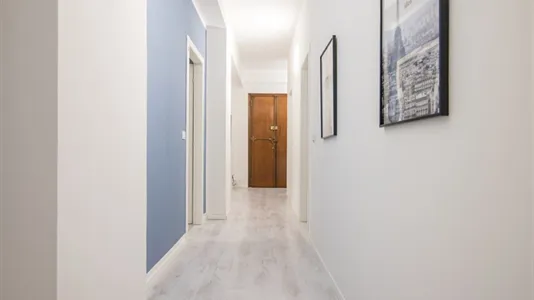 Rooms in Padua - photo 8