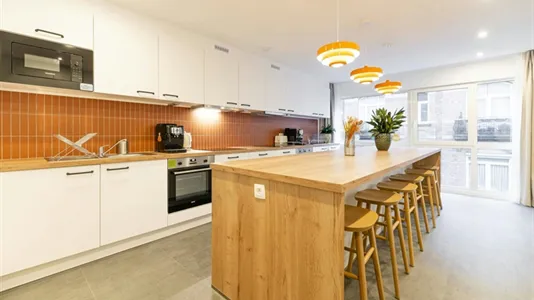 Rooms in Brussels Sint-Pieters-Woluwe - photo 5