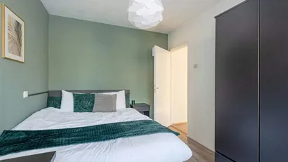 Room for rent in Rotterdam