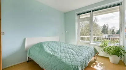 Room for rent in Amsterdam