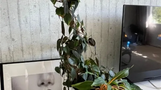 Apartments in Nacka - photo 10