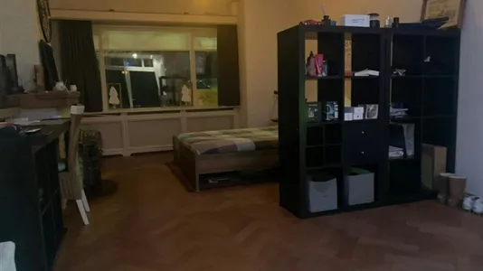 Houses in Hillegom - photo 5