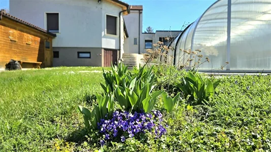 Houses in Hornstein - photo 3