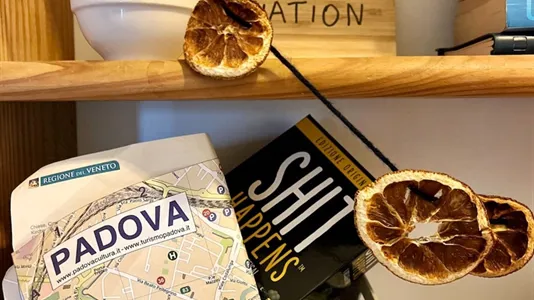 Rooms in Padua - photo 7