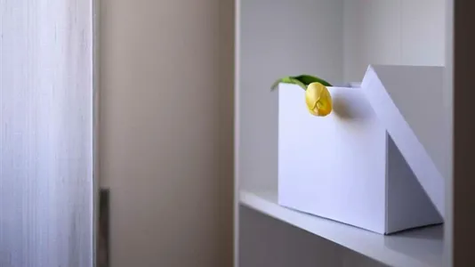 Rooms in Sesto San Giovanni - photo 7