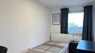 Room for rent, Essen, Nordrhein-Westfalen, Busehofstraße