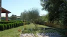 Apartment for rent, Montelupo Fiorentino, Toscana, &lt;span class=&quot;blurred street&quot; onclick=&quot;ProcessAdRequest(14061928)&quot;&gt;&lt;span class=&quot;hint&quot;&gt;See streetname&lt;/span&gt;[xxxxxxxxxxxxx]&lt;/span&gt;