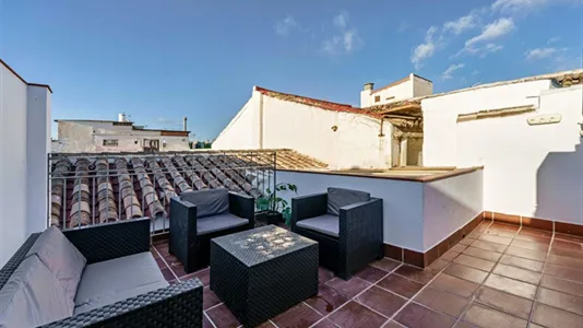 Apartments in Málaga - photo 9