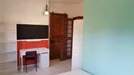 Room for rent, Pisa, Toscana, Piazza Giuseppe Toniolo, Italy