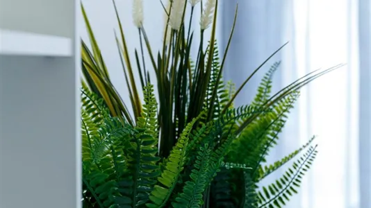 Rooms in Turin - photo 10