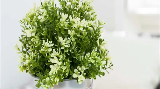 Rooms in Milano Zona 1 - Centro storico - photo 7