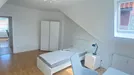 Room for rent, Potsdam, Brandenburg, Geschwister-Scholl-Straße, Germany