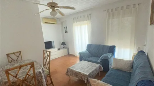 Apartments in Elche/Elx - photo 1