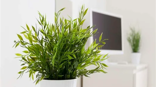 Rooms in Milano Zona 2 - Stazione Centrale, Gorla, Turro, Greco, Crescenzago - photo 10