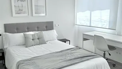 Room for rent in Murcia, Región de Murcia Room for rent in Murcia, Región de Murcia