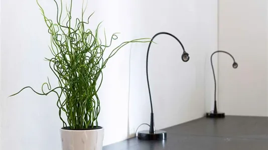 Rooms in Milano Zona 6 - Barona, Lorenteggio - photo 7