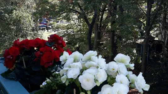 Rooms in Hamburg Nord - photo 4