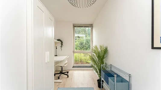 Rooms in Berlin Treptow-Köpenick - photo 4