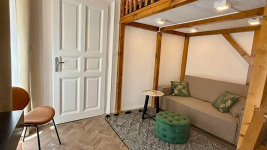 Apartments in Budapest Erzsébetváros - photo 5