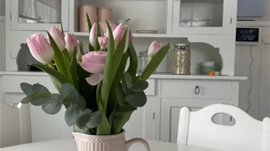 Houses in Falun - photo 5