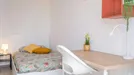Room for rent, Milano Zona 8 - Fiera, Gallaratese, Quarto Oggiaro, Milan, Via Gran San Bernardo, Italy