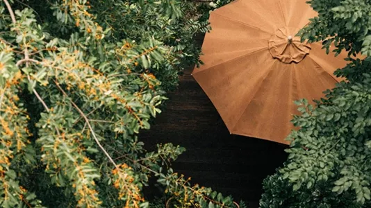 Rooms in Offenbach - photo 10