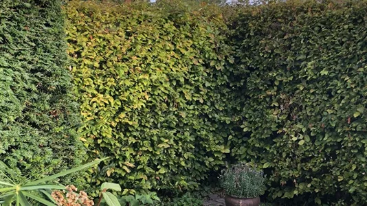 Apartments in Location is not specified - photo 2