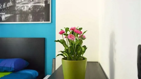 Rooms in Milano Zona 5 - Vigentino, Chiaravalle, Gratosoglio - photo 3