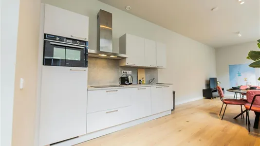 Apartments in Rotterdam Centrum - photo 5