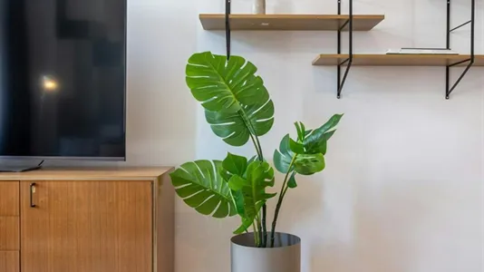 Apartments in Vienna Landstraße - photo 8