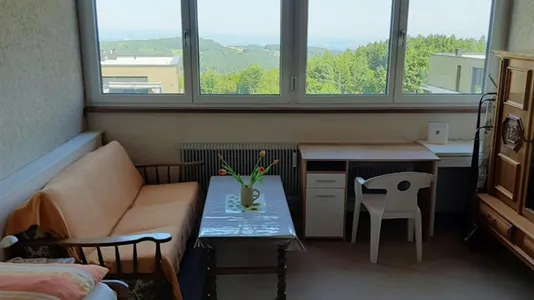 Apartments in Alberndorf in der Riedmark - photo 2