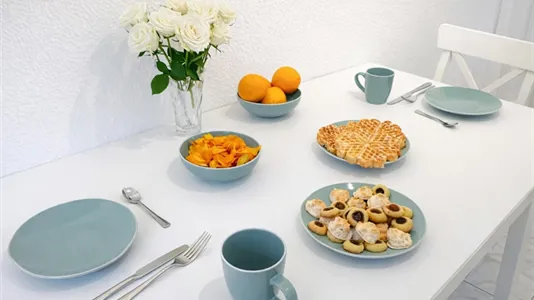 Apartments in Halle (Saale) - photo 9