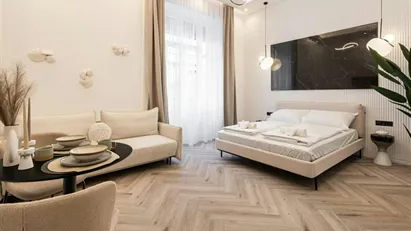 Room for rent in Budapest Erzsébetváros, Budapest