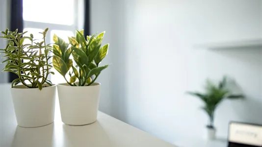 Rooms in Vienna Leopoldstadt - photo 5