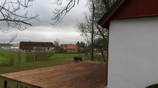 Houses in Oxie - photo 7