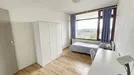 Room for rent, Capelle aan den IJssel, South Holland, Dotterlei, The Netherlands