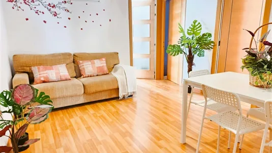 Rooms in el Camí de Vera - photo 7