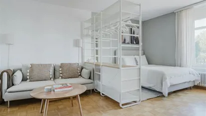 Apartment for rent in Zürich Distrikt 4  - Aussersihl, Zürich
