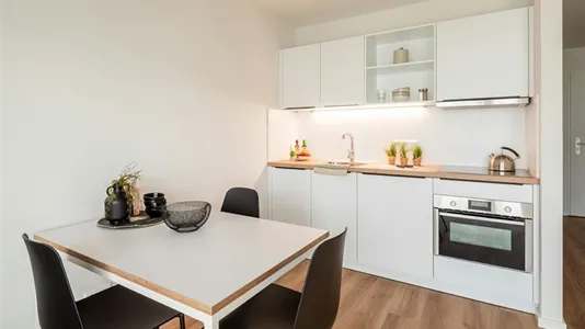 Apartments in Tübingen - photo 4