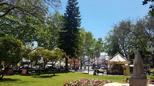 Apartments in Cascais - photo 8