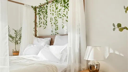 Apartments in Braunschweig - photo 5