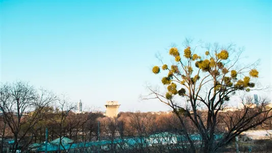 Rooms in Vienna Leopoldstadt - photo 9